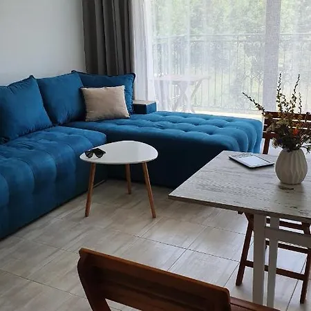 Sinevata Apartament 公寓